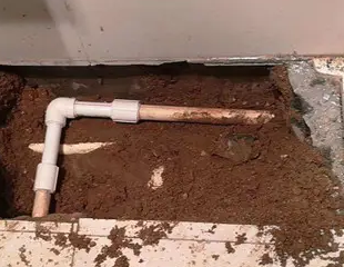 鸡西测漏水哪家好