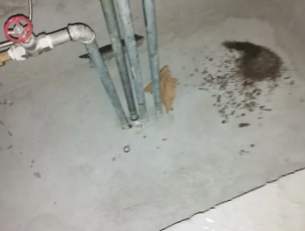 鸡西卫生间测漏水价格明细