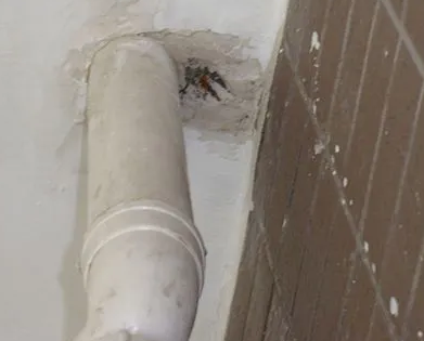 鸡西漏水检测哪家好